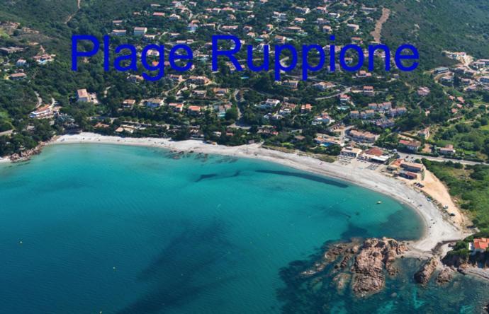 Vue Mer Panoramique Plage 50M Porticcio Corse 外观 照片