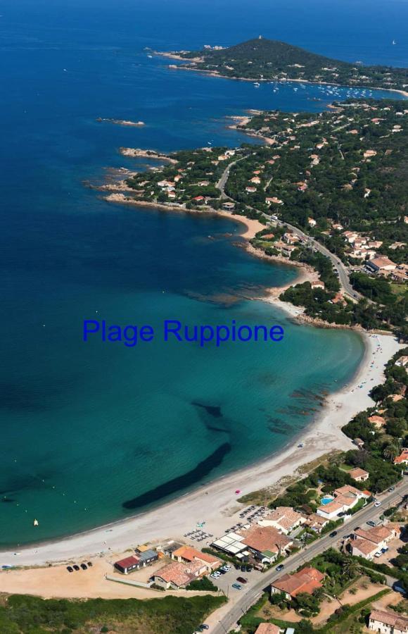 Vue Mer Panoramique Plage 50M Porticcio Corse 外观 照片